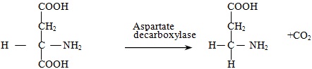 decarboxylation