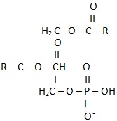 phosphatidic acid