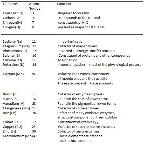 Elemental Composition of Living Matter