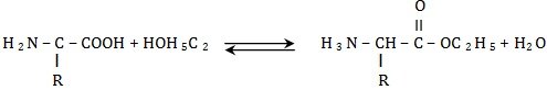 Esterification