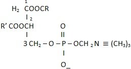 Phosphatidylcholine