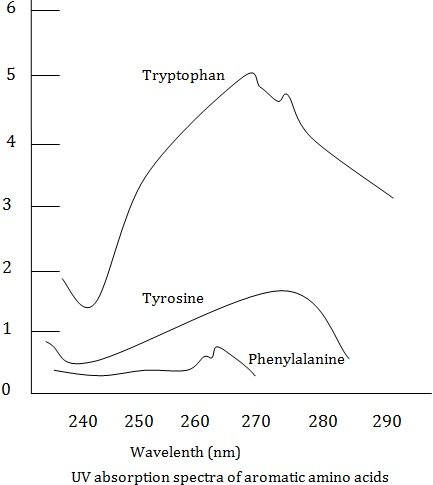 UV absorption spectra of aromatic amino acids