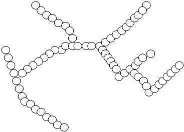 glycogen structure