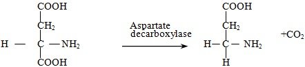 decarboxylation