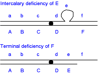 deletion