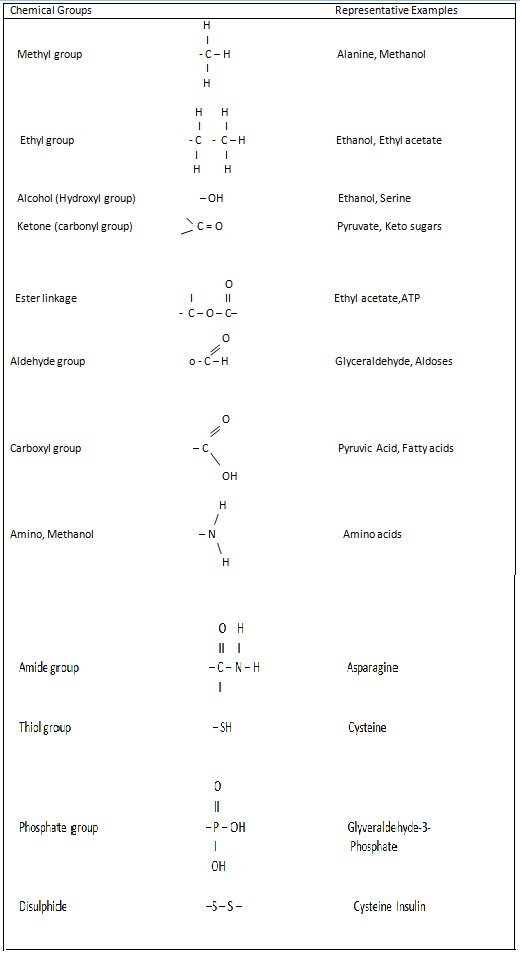 fuctional groups