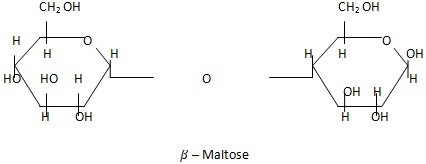 maltose