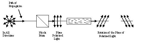 Dyrke motion behandle Ritual Plane Polarized light Assignment Help Homework Help Online Tutoring  Chemistry Help