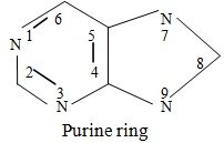 purines