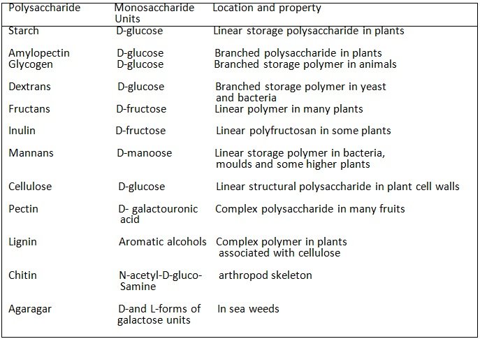 polysaccharides  and their constituent monomers