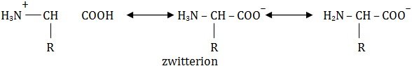 zwitterion